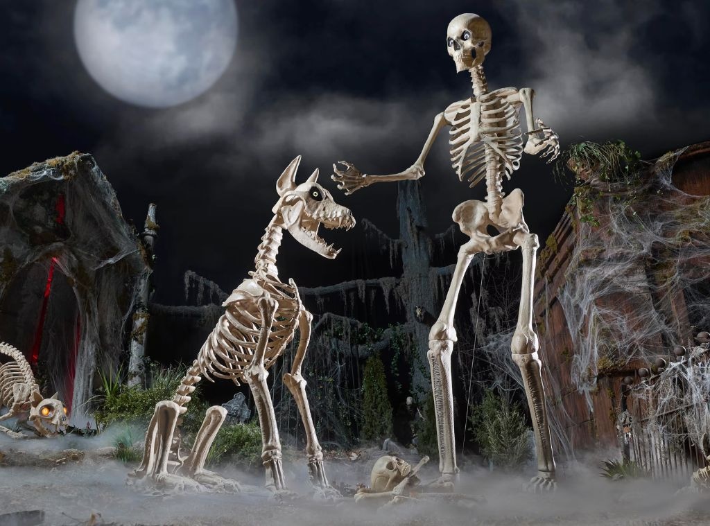 2341f26f-d05f-4657-9c9e-6c2eab3a7aa2_1757091352 skelly hero image.jpg