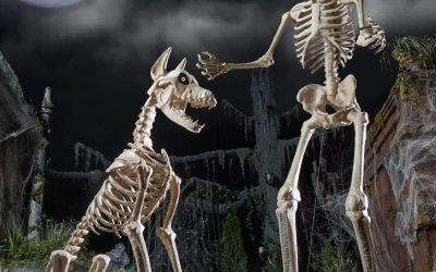 He’s Baaack! Snag the Famous Home Depot Skeleton Before It Sells Out…Again