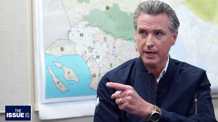 060925_elex_michaelson_gavin_newsom_kal