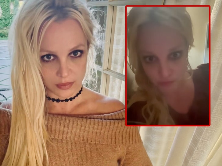 britney spears calling out her jealous haters
