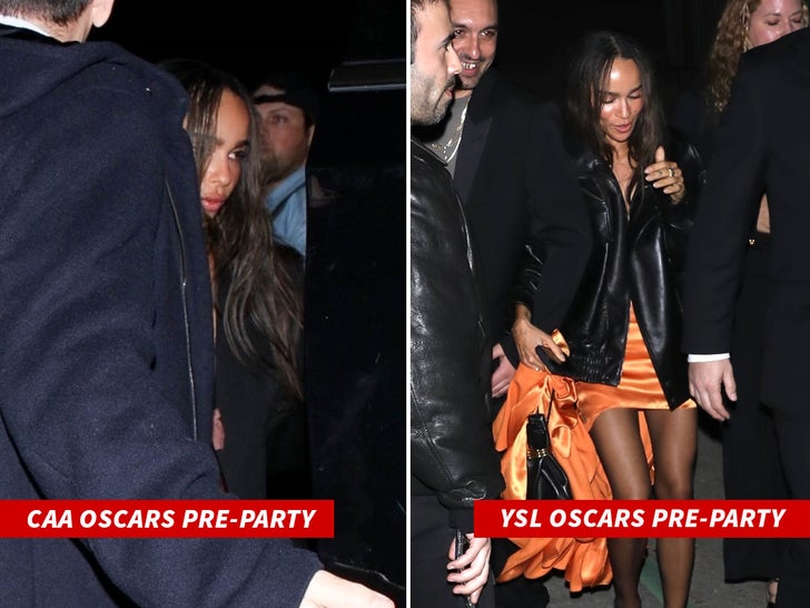 024f4011a06642cb87fc436092303d67_md Zoe Kravitz