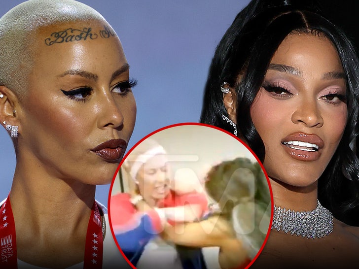 amber roseJoseline Hernandez getty tmz composite