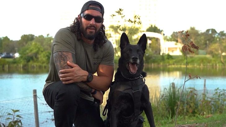 063f9d2212fd452bbc42b5df8952b561_md 021925-hurricane-dog-kal