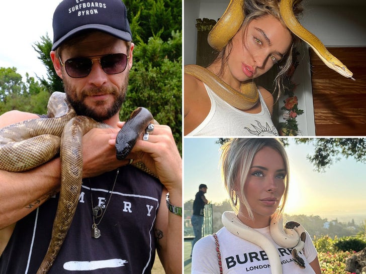 066e7528202444819b013e5a55e2601a_md Stars With Snakes