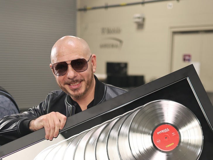 Pitbull Through The Years