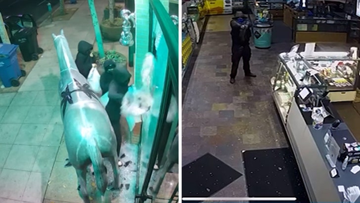 08a73d02665b4f328b15246fac4b9dec_md weed-store-burglary-kal-05-19-2025