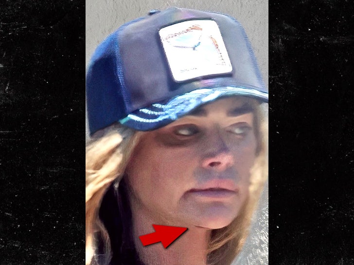 denise richards sub backgrid arrow