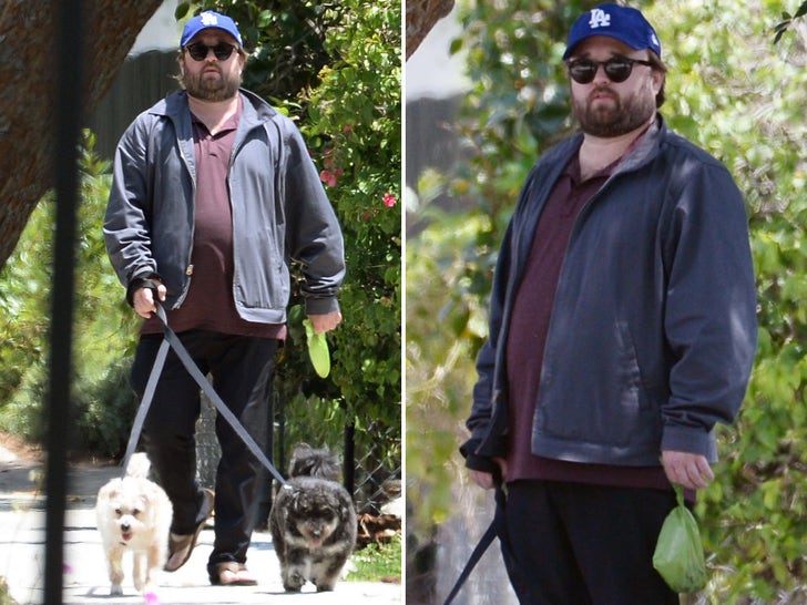 0a2cba869a094d75898a221a69577bfe_md Haley Joel Osment Walking His Dogs After His Arrest