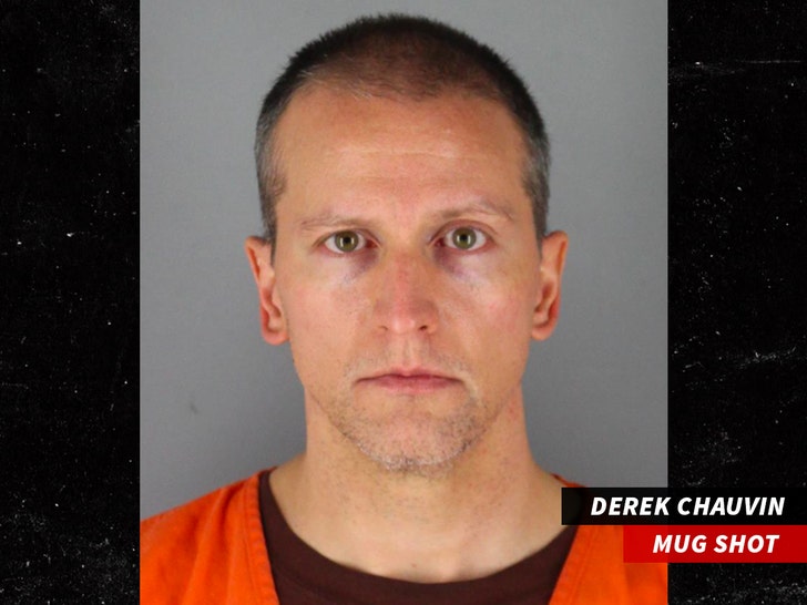 0b7d818cdfa9461a903fcfe2b4b9ef23_md 0419-derek chauvin-mugshot-01