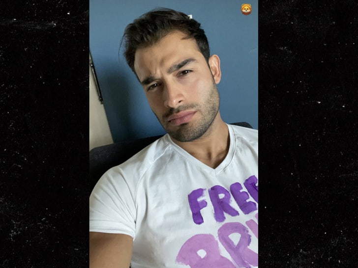 0d1c71a4b4634d4f9413f5a8e6e6d722_md sam asghari wearing free britney shirt