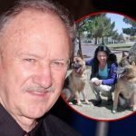 Airline Defends Crew After Corpse Was Seated Next to Vacationing Couple