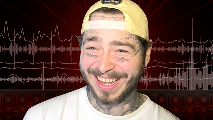 1266ef3201ab4d98a3c1d657569267cc_md 0613-postmalone-audio-art-tmz