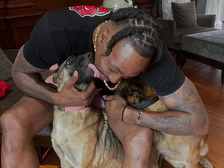 141a9dfd73b1447a970c65022466c33e_md Dwight Howard's Dog
