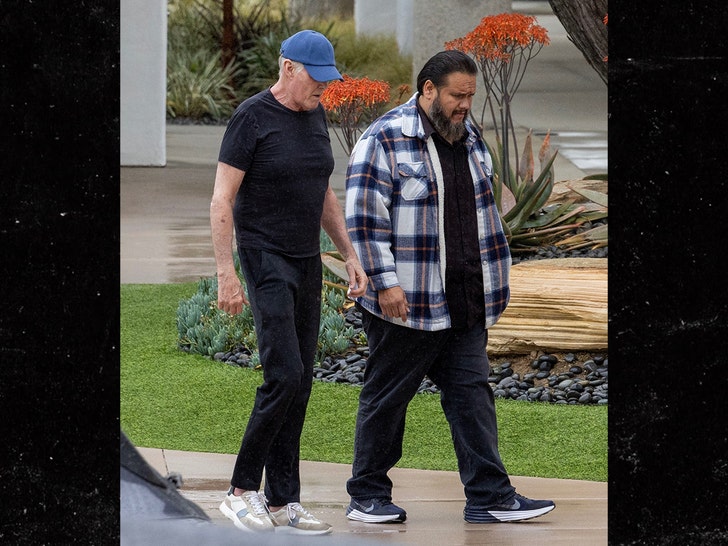155f64e7f8de48aea805b0519696020a_md David Hasselhoff seen for first time since wife death