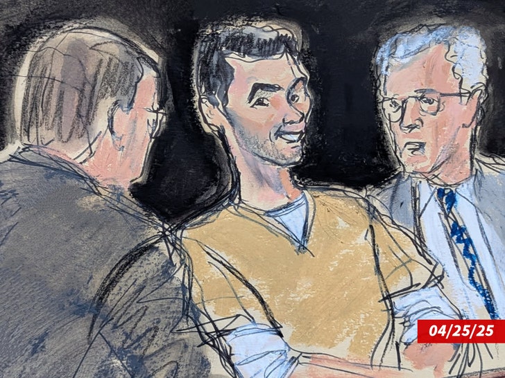 Luigi Mangione pleading not guilty court sketch  Elizabeth Williams 