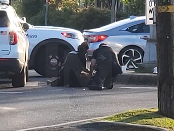 041125-police-excessive-force-arrest
