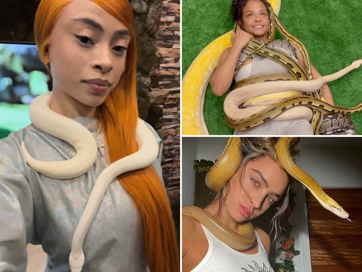 Stars With Snakes