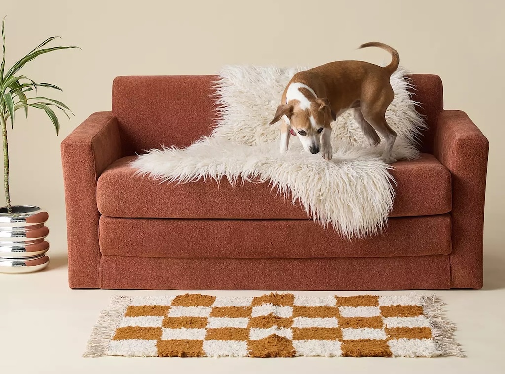 18fbbdd9-8dfe-4275-8c70-4ec00db0815c_1746741296 Netto Fold-Out Sleeper Sofa