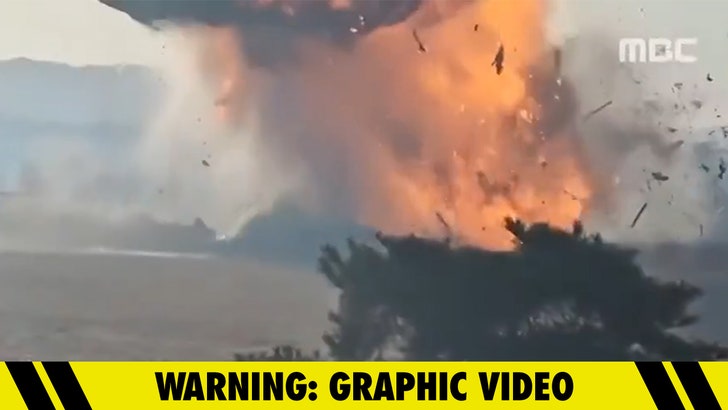 1a27a5df0c0e4d30809ce57ed87d298c_md 122824_airplane_crash-kal