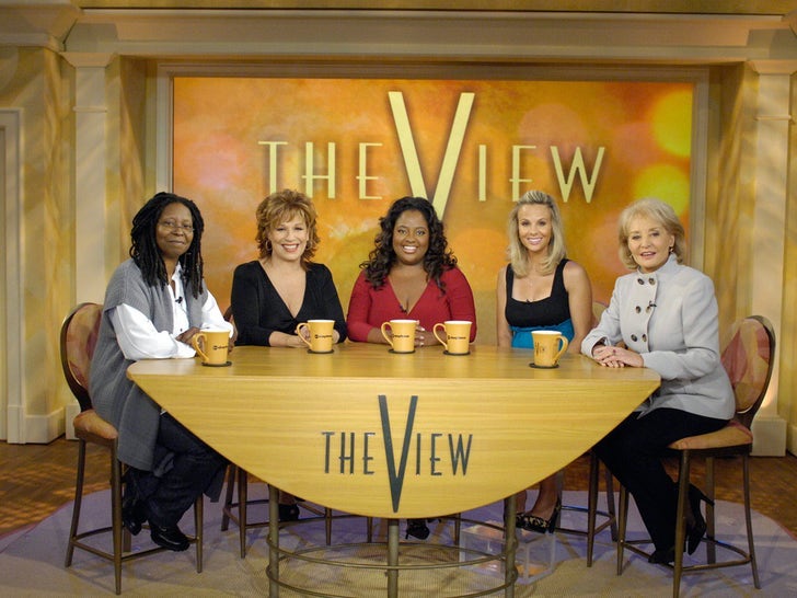 1c70b4abcd6e40e8b5bfba7dbd0db094_md 'The View' Through The Years