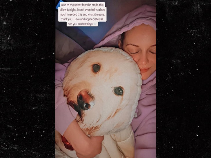 1da776443e5a4b85a64eedd4bb47f003_md kelsea ballerini dog pillow instagram sub