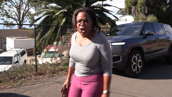 1e26666d36ca4ee28e2773664684db1a_md 111124_oprah_winfrey_kal