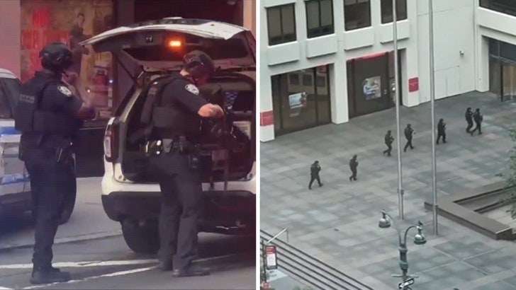 1f1b525995144a0f822890f87211747a_md 072925_nyc_police_activity_kal