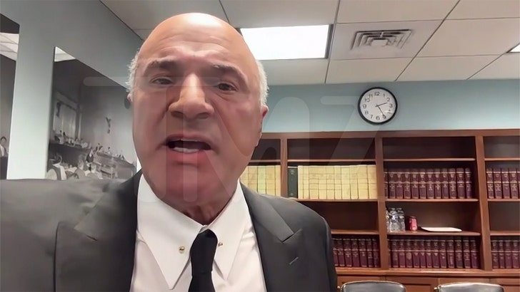 21d7c63fa21e4a6d8e00981d6758b6b4_md kevin-o-leary-kal-04-09-2025