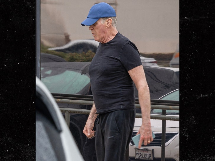22f4b0bd329240e08722679818ef6210_md David Hasselhoff seen for first time since wife death