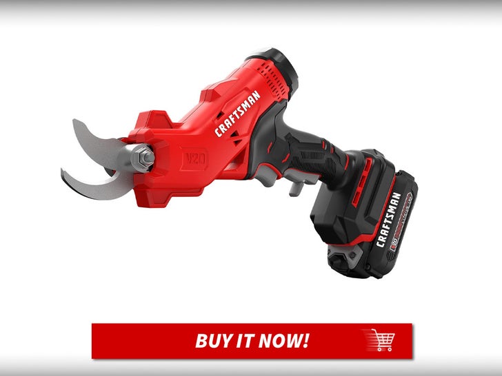 2431ed1766254d2e8a950c190a1b46c0_md CRAFTSMAN-Cordless-Electric-Pruner-MAIN