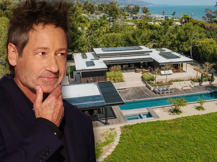 2765fc25b6fc4837afd10b92c1e9ae59_md David Duchovny's Malibu Beach House