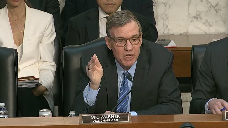 2ab2a1b11a2d4503a14c401a81b1b0d4_md 032525_intelligence_hearing_kal