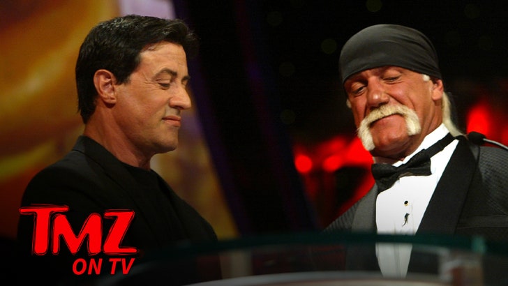 2dc988168b8d4ff1a863914296258f24_md 081325_stallone_tv_kal