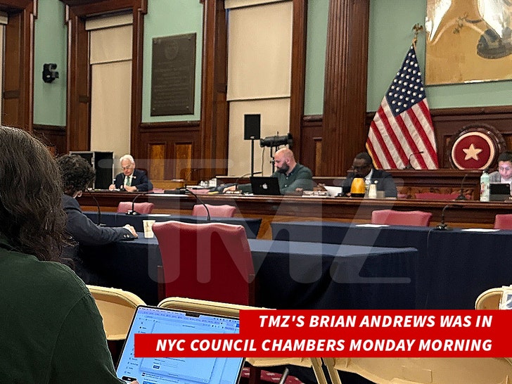 nyc-Accelerator-Restrictors-tmz-3