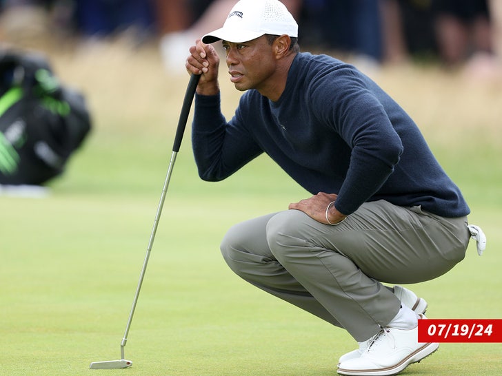 37fee0a1d8094381ad4bc80c05d6d22d_md tiger woods sub