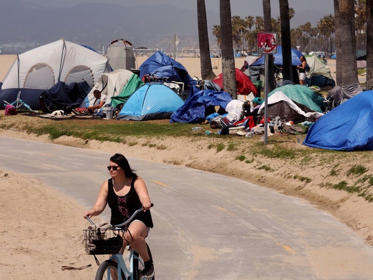382636df50ee4787a7a94036665a6b93_md Homeless Crisis in Venice Beach