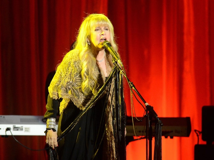 384a7f11decc443e85bcb58a5466b1b1_md Stevie Nicks Through The Years