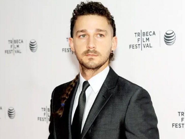 3888d7b6ec74442082476bbfe5d715c9_md Shia LaBeouf -- Through the Years