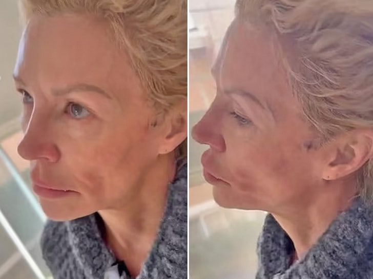 3c03a2bde7b14944b5f047242b13376d_md brandi glanville face x split sub