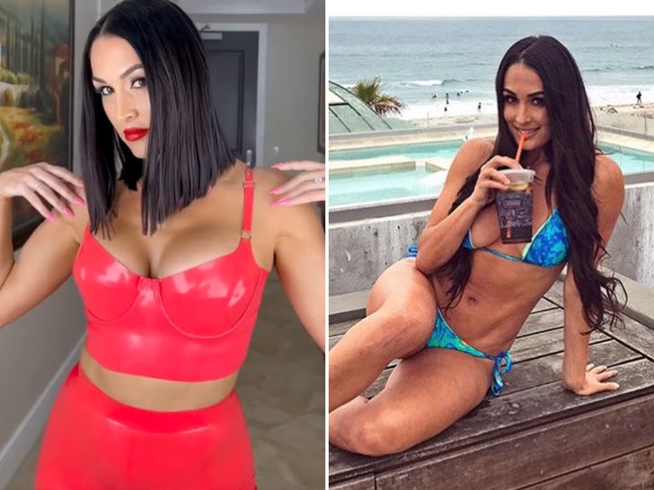 3c449253806340cbb9d60c09f77de1dc_md-1 Nikki Bella's Hot Shots