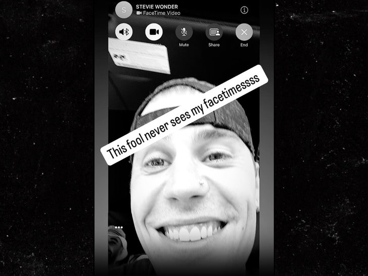 justin bieber stevie wonder facetime sub instagram