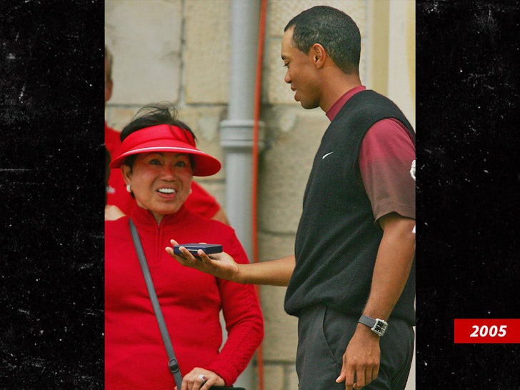 3d60e8a7dcf744519675ef705843357e_md tiger woods Kultida Woods sub getty swipe