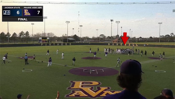 4070a3402e814d3fb03b399ece3b2e29_md 031825-baseball-game-fight-kal