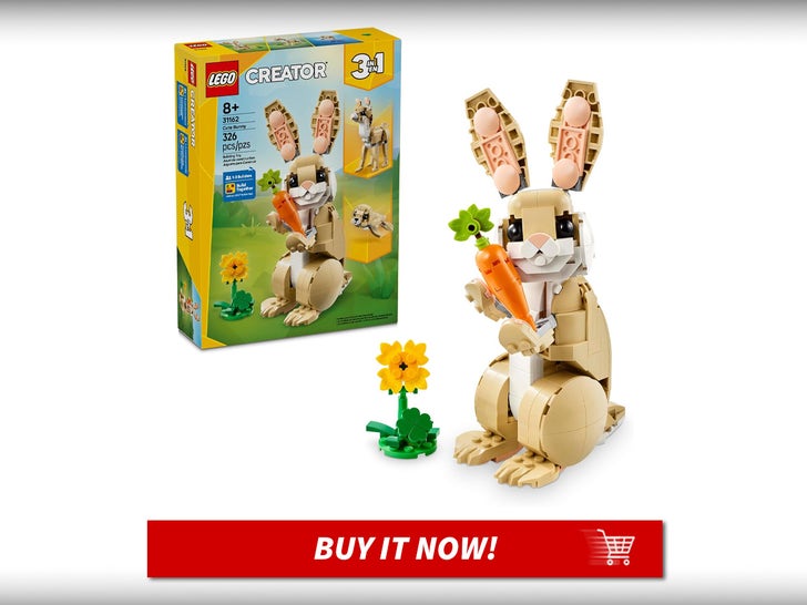 LEGO-Creator-3-in-1-Bunny-Building-Set-MAIN