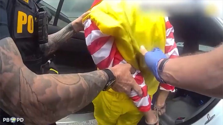 42b79a446d7e4284a50eb36d50dcf051_md 032825_ronald_mcdonald_arrest-kal