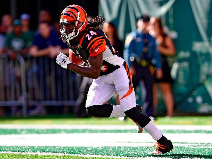 42f7c195192d442c94611a02590c5fbf_md Pacman Jones On The Field
