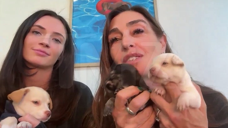 437b1a10547242098ce6d63c50fdf338_md 012925_laura_labelle_KAL