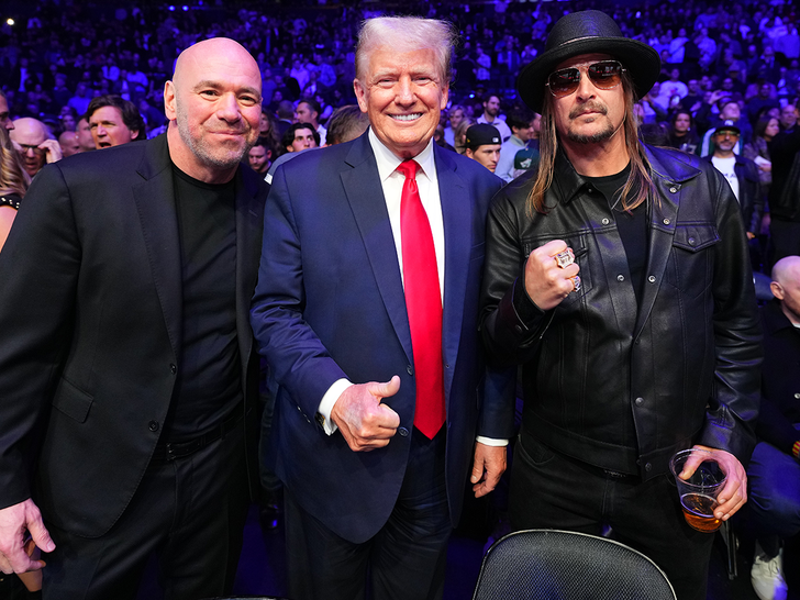 Trump at UFC 295