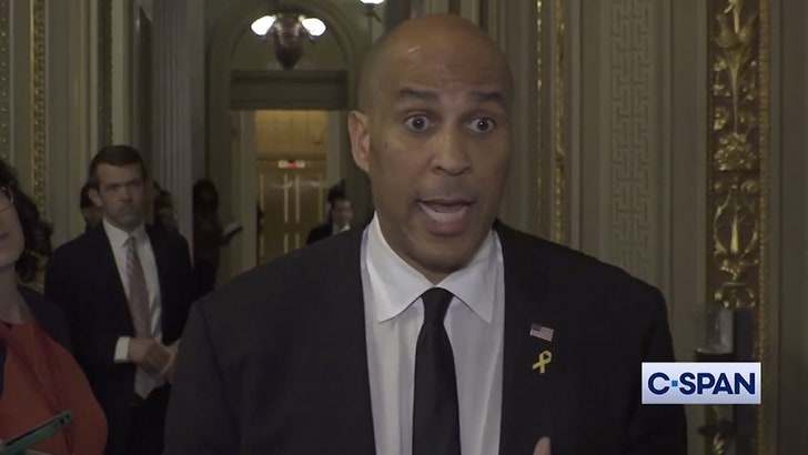 452bf066a3f94e249a6d1c7e354ed53c_md 040225_cory_booker_kal