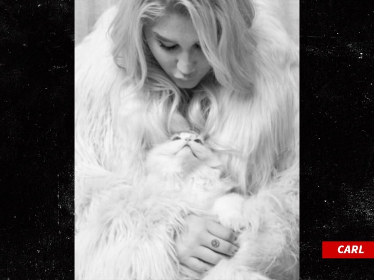 4723de8eb5bf4d74a1a22b3547d96380_md kesha cat death